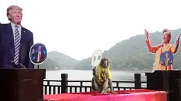 Aksi seekor monyet memegang karton bertuliskan "Terpilih" sambil duduk di antara foto calon presiden AS Donald Trump dan Hillary Clinton saat berusaha memprediksi hasil Pilpres AS 2016, di Changsha, Provinsi Hunan, China, Kamis (3/11). (REUTERS/Stringer)