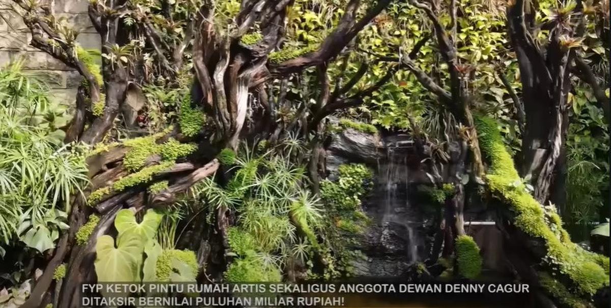 8 Potret Paludarium Raksasa di Rumah Denny Cagur yang Megah, Pemandangan Indah - Ditaksir Berharga Fantastis