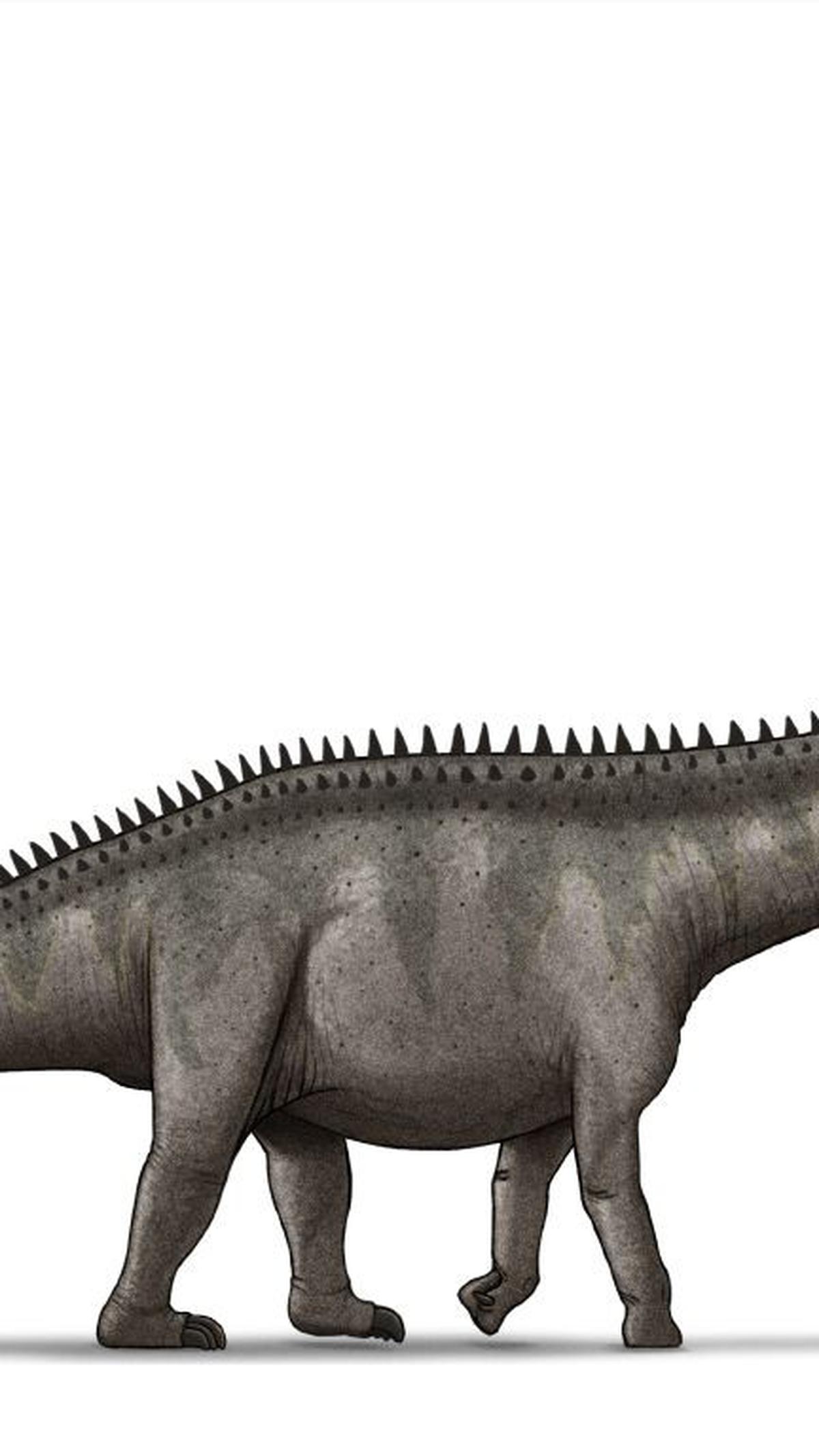 3.&nbsp;Supersaurus