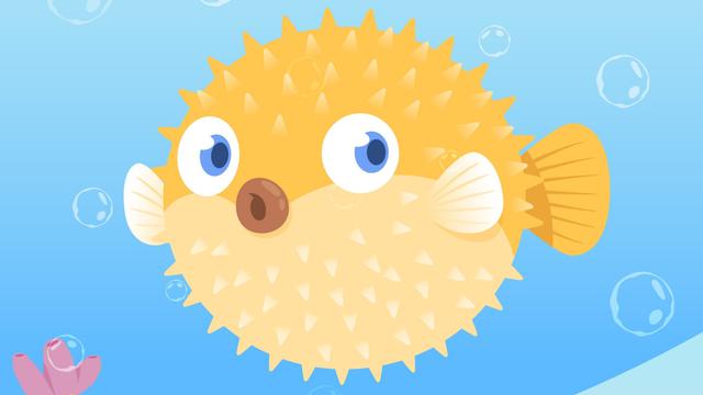 Ilustrasi ikan buntal (pufferfish)