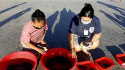 Relawan mengenakan masker saat berdoa sebelum melepaskan bayi penyu ke laut di Bali, Selasa (9/6/2020). Sekitar seratus penyu lekang yang baru menetas dilepas ke lautan selama kampanye untuk menyelamatkan hewan tersebut dari kepunahan. (AP Photo/Firdia Lisnawati)