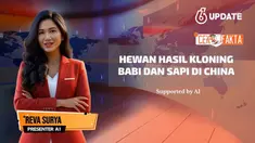 Sebuah video yang diklaim penampakan hewan hasil kloning babi dengan sapi di China beredar di media sosial. Benarkah dalam video itu merupakan penampakan hewan hasil kloning babi dengan sapi di China?