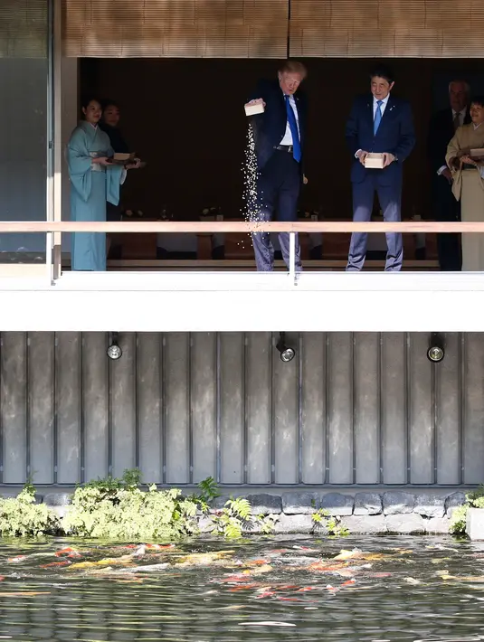 Presiden AS Donald Trump menuangkan seluruh makanan ikan miliknya ke kolam koi disaksikan PM Jepang Shinzo Abe, di Istana Akasaka, Tokyo, Senin (6/11). Tindakan Trump itu memicu kemarahan di kalangan pecinta ikan. (AFP PHOTO / TORU HANAI)
