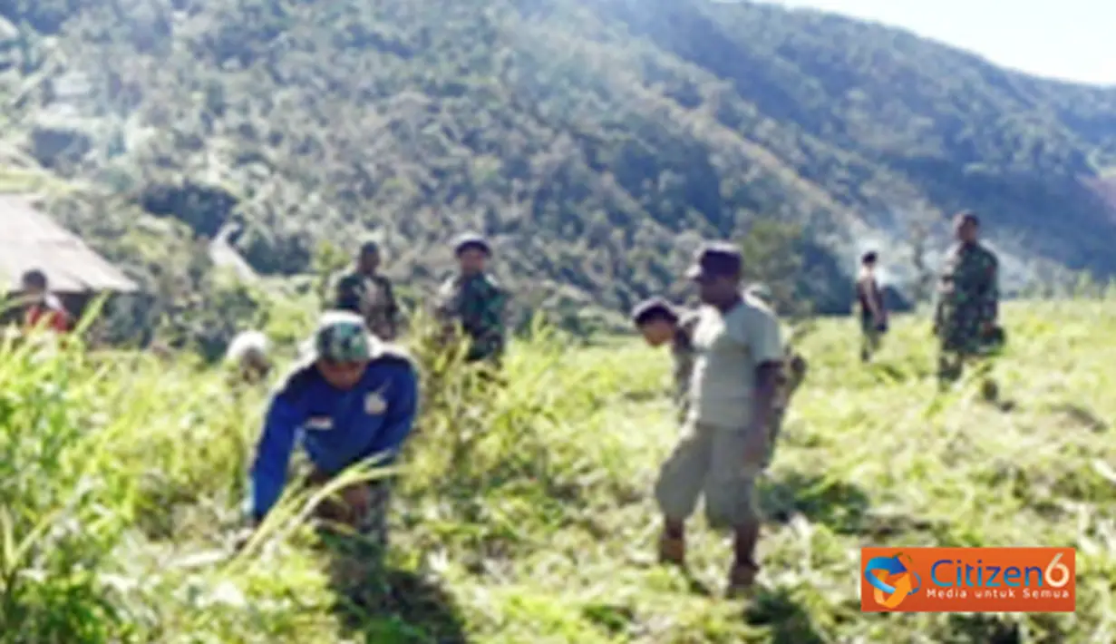 Citizen6, Puncak Jaya: Bakti Sosial TNI juga diisi dengan kegiatan non-fisik berupa penyuluhan kesehatan, hukum, pertanian dan perikanan, pelatihan pertukangan dan montir kendaraan. (Pengirim: Badarudin Bakri)