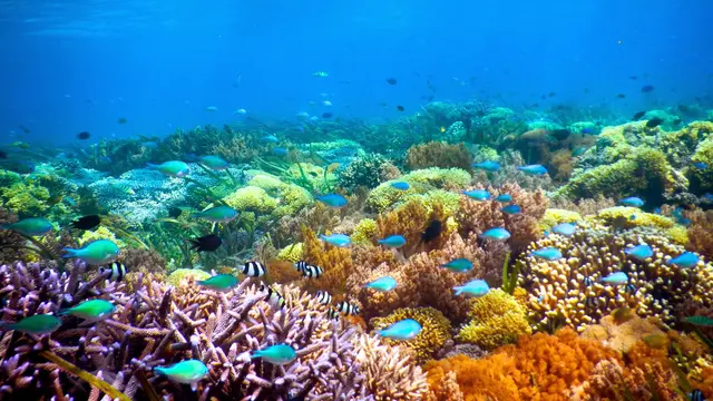 wisata lombok