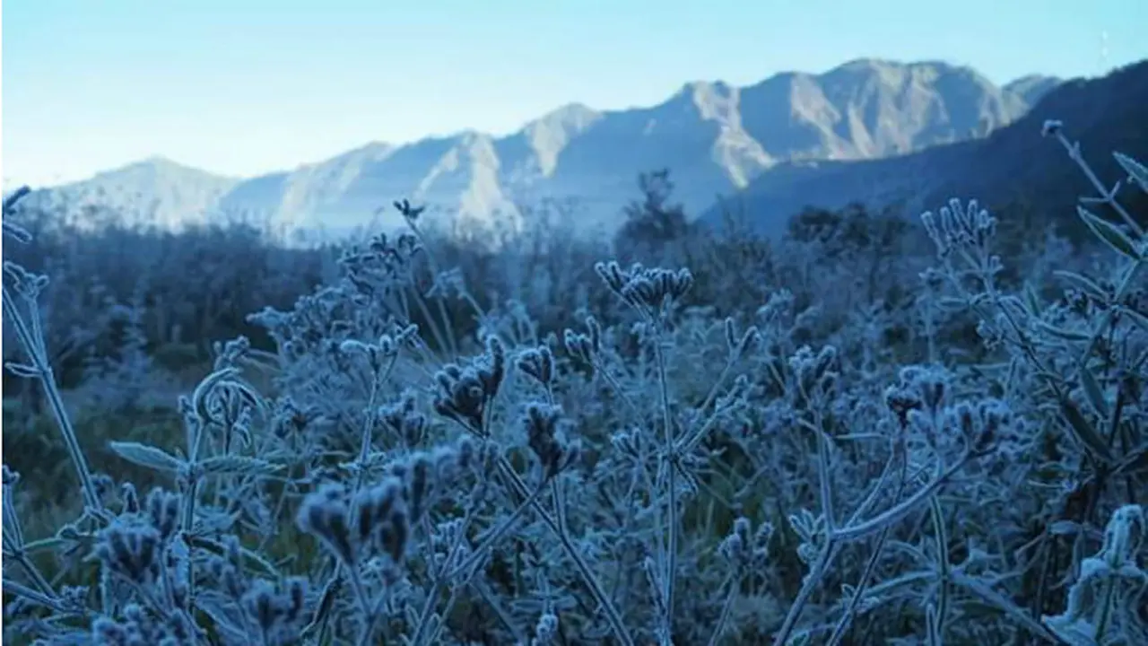 Fenomena Embun Es di Gunung Bromo