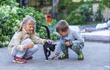 6 Fakta Anak Pertama Laki-laki yang Jarang Disadari Orangtua, Pahami Karakternya