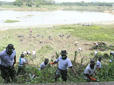 Personel TNI AL memotong rumput di sungai Citarum di Desa Warung Pulus, Bandung Barat, Jawa Barat, Minggu (17/12). Memperingati HUT TNI AL ke 72, melaksanakan operasi bakti TNI AL dengan menggelar acara "Bebersih Citarum". (Liputan6.com/Herman Zakharia)