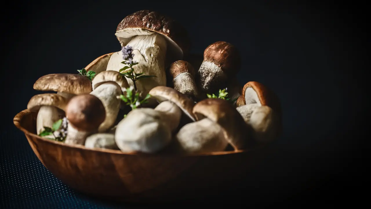 5 Tanda Jamur Sudah Tidak Layak Konsumsi, Segera Buang Hot
