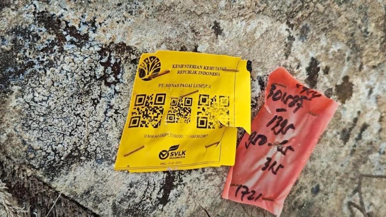 Gelondongan Kayu Berbarcode Kemenhut Terhempas di Pesisir Barat, Asal Kapal Tongkang Sumbar