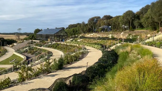 Berkelana di Mornington Peninsula dengan Segudang Keindahannya