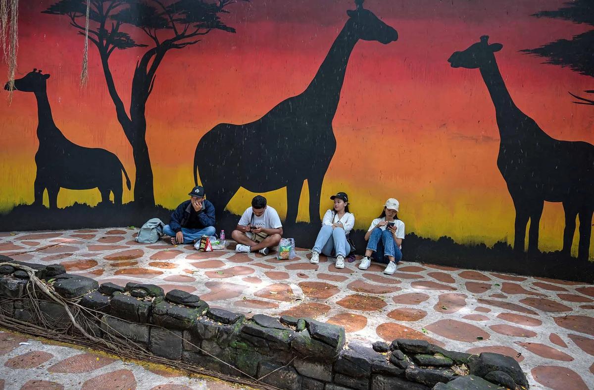 FOTO: Kebun Binatang Surabaya Jadi Pilihan Wisata Edukatif Selama Libur Akhir Tahun