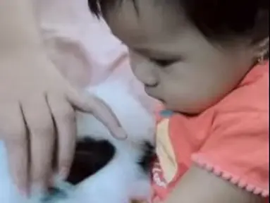 Ameena Hanna  Nur Atta, tanpa takut mengelus kelinci milik Amora. Akhirnya Aurel pun membelikan binatang yang sama untuk sang putri. (Foto: YouTube)