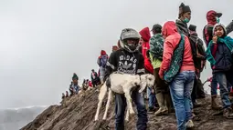 Suku Tengger membawa kambing sajen menuju puncak untuk melarungnya ke kawah dalam ritual Yadnya Kasada di Gunung Bromo, Probolinggo, Jawa Timur, Kamis (18/7/2019). Yadnya Kasada diselenggarakan pada hari ke-14 bulan Kasada. (JUNI KRISWANTO/AFP)
