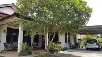 8 Pohon Buah Berakar Aman untuk Dekat Teras dan Carport, Teduh Tanpa Merusak Bangunan