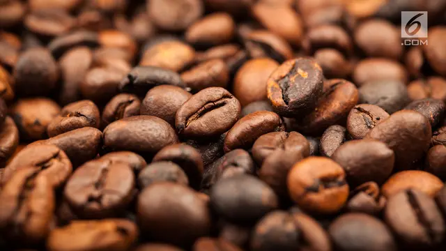 Biji Kopi