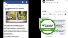 Akhir-akhir ini sedang ramai di media sosial, informasi mengenai bahaya pisang yang memiliki bercak-bercak merah. Warna merah pada pisang itu disebut-sebut merupakan darah yang mengandung virus HIV.