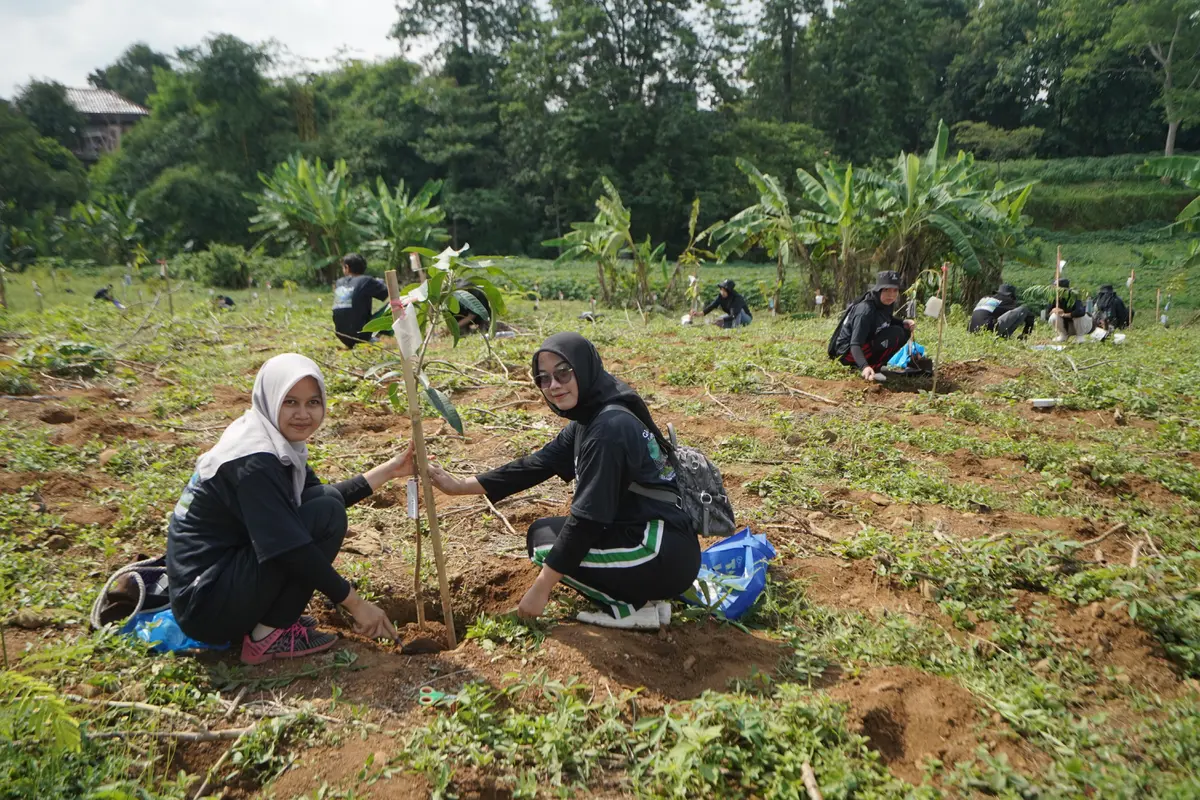 menanam pohon