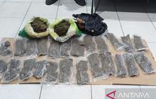 Polresta Manokwari Gagalkan Penyelundupan 1 Kg Ganja dari Jayapura, Pelaku Ditangkap di KM Dorolonda