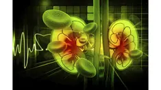 Fungsi ginjal tak akan kembali normal ketika Anda didiagnosis gagal ginjal kronis. Yang bisa Anda lakukan hanyalah mempertahankan fungsi ginjal yang ada dengan rutin cuci darah satu sampai tiga kali setiap minggu.