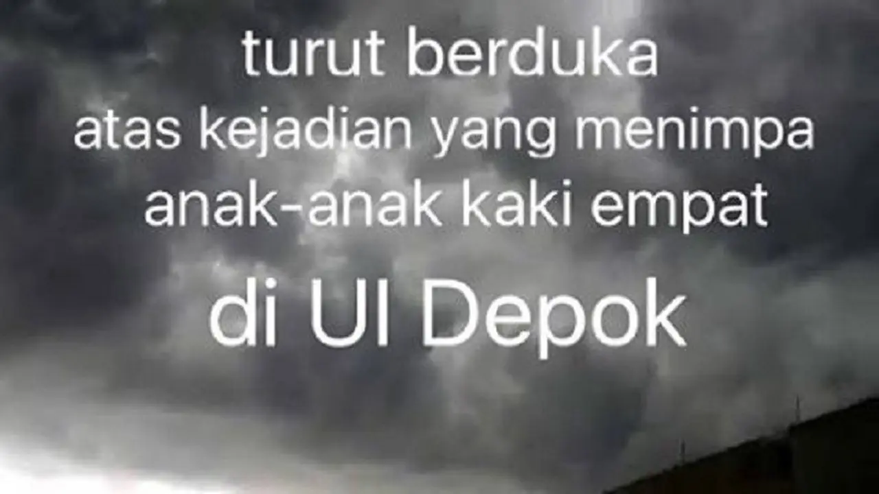 [Bintang] Anjing di UI