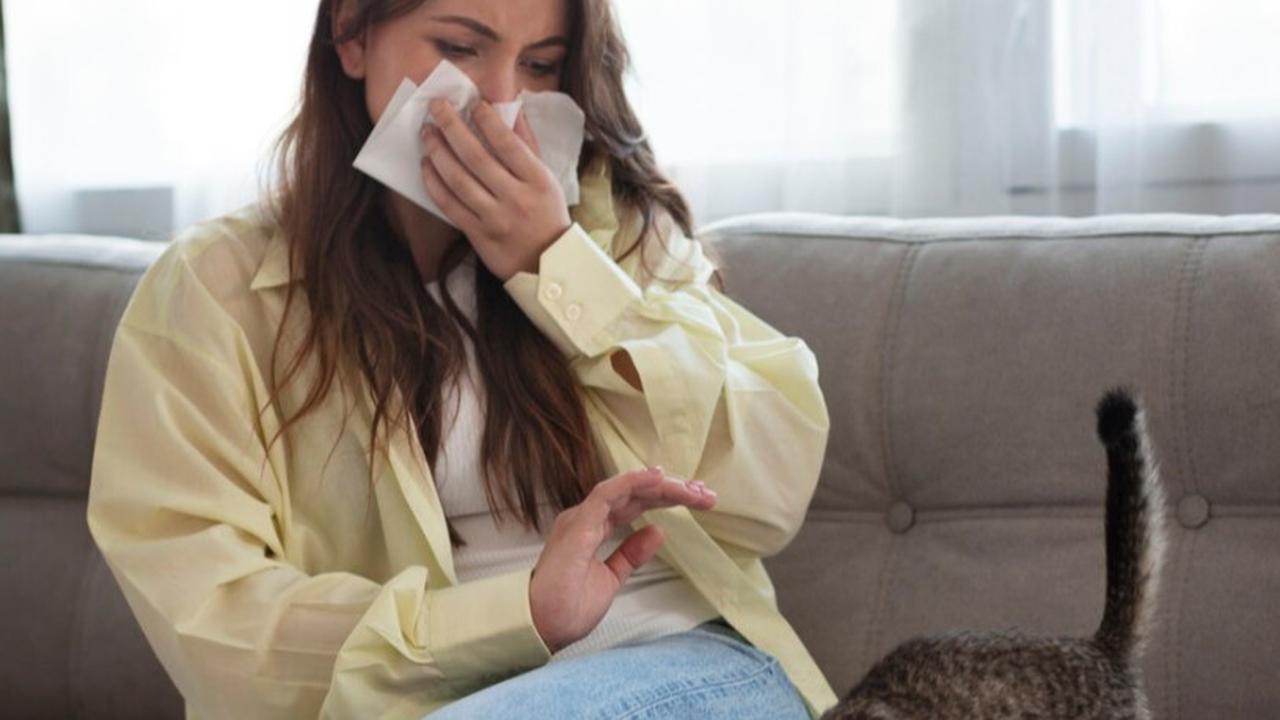Sinusitis Kronis atau Akut? Panduan Lengkap Penyebab dan Pengobatannya