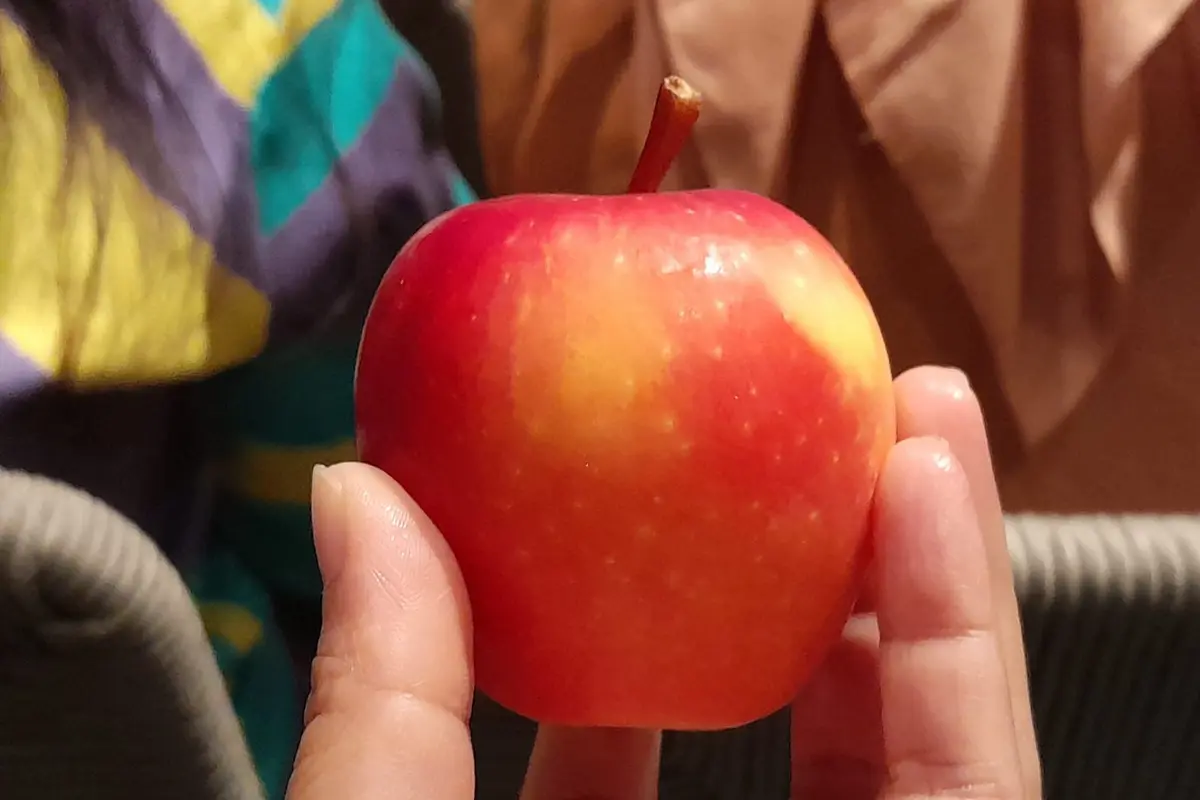 Apel jadi camilan? Ada banyak manfaat yang bisa didapatkan tubuh.