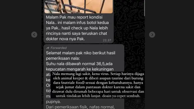Unggahan Okin