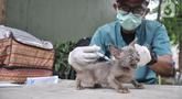Dokter dari Suku Dinas Ketahanan Pangan, Kelautan, dan Pertanian (KPKP) menyuntikan vaksinasi rabies kepada hewan peliharaan warga di Taman Pasar Ciplak, Karet, Kuningan, Jakarta, Selasa (30/5/2023). (merdeka.com/Iqbal S. Nugroho)