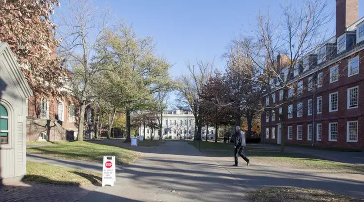 Cerita Anak Penjual Nasi Goreng dari Pandeglang Diterima Kuliah S2 di Harvard