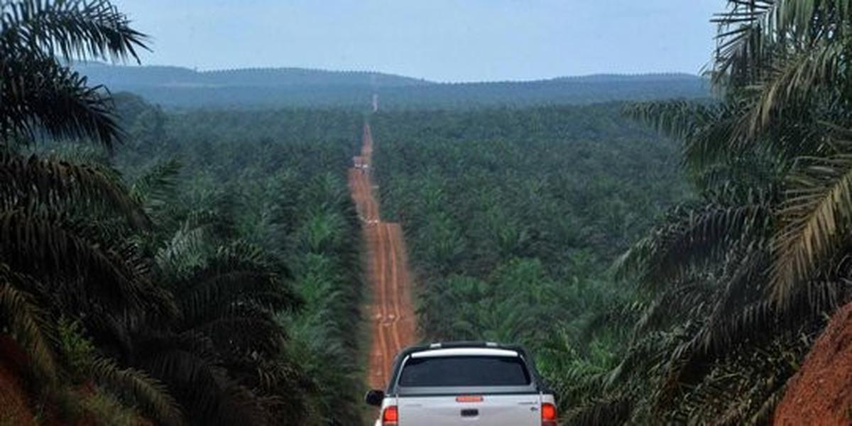 The Agency, kudeta gubernur di Kalimantan