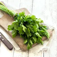 ilustrasi parsley/Oksana Mizina/Shutterstock