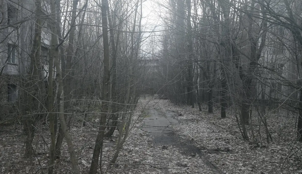 Pemandangan kota Pripyat dekat pembangkit listrik tenaga nuklir Chernobyl di Ukraina, (23/3). Ribuan penduduk Chernobyl  terpaksa diungsikan dari kota ini karena mayoritas dari mereka mengalami keracuna radiasi. (REUTERS / Gleb Garanich)
