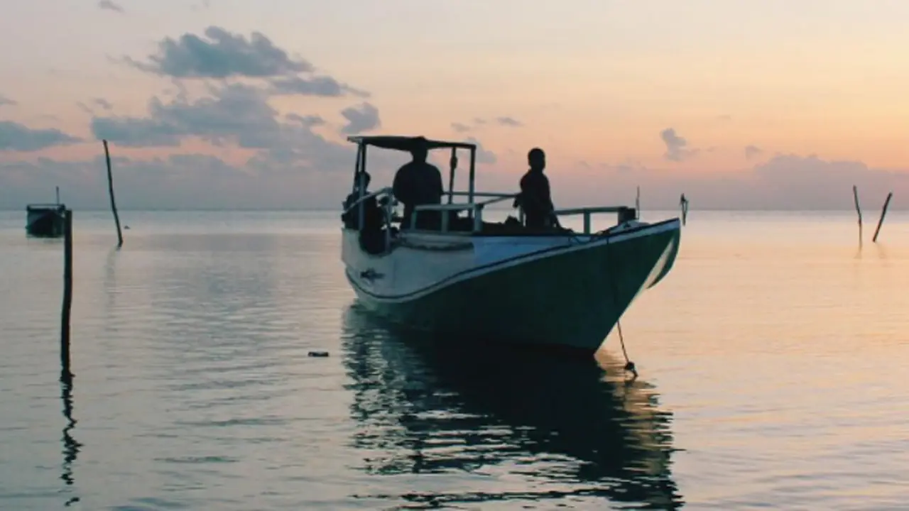 [Bintang] Pulau Bawean