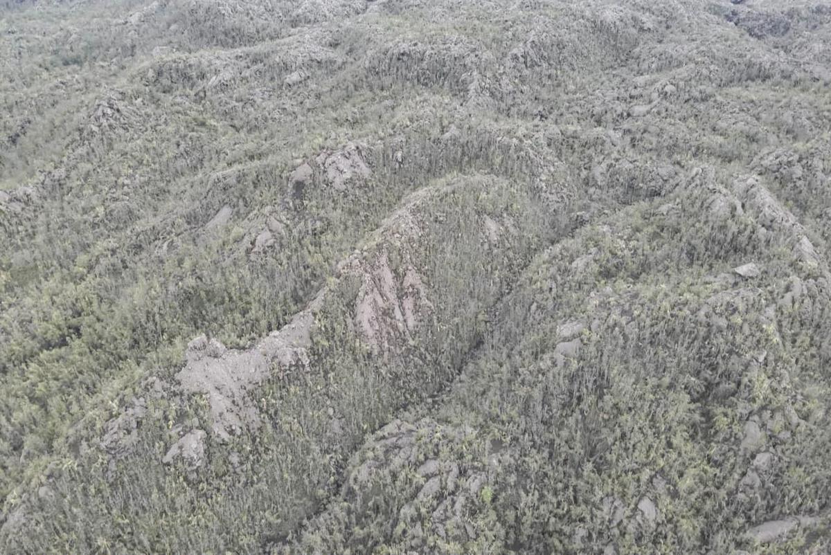 FOTO: Tim SAR Temukan Pendaki Korban Erupsi Gunung Dukono