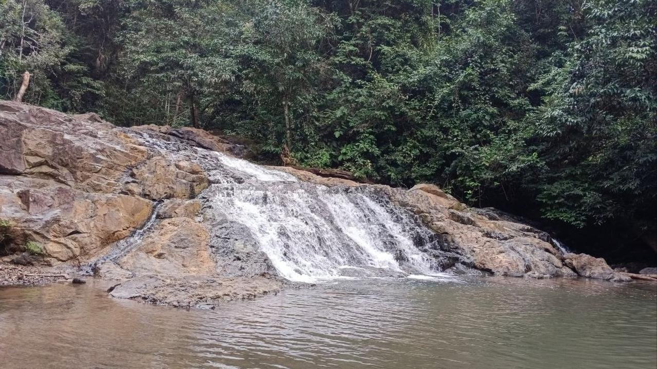 Rasa letih berjalan kaki dipastikan tak bakal dirasakan oleh pengunjung. Pasalnya, kanan kiri disuguhi pemandangan hutan yang nan sejuk, dan gemercik suara air yang mengalir.