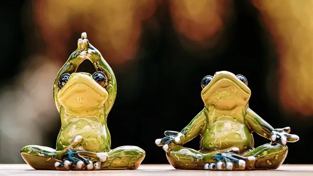 Ilustrasi Katak