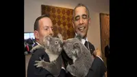 Jimbelung si koala betina berumur 3 tahun menuai perhatian pada acara Konferensi Tingkat Tinggi (KTT) G-20 Brisbane.