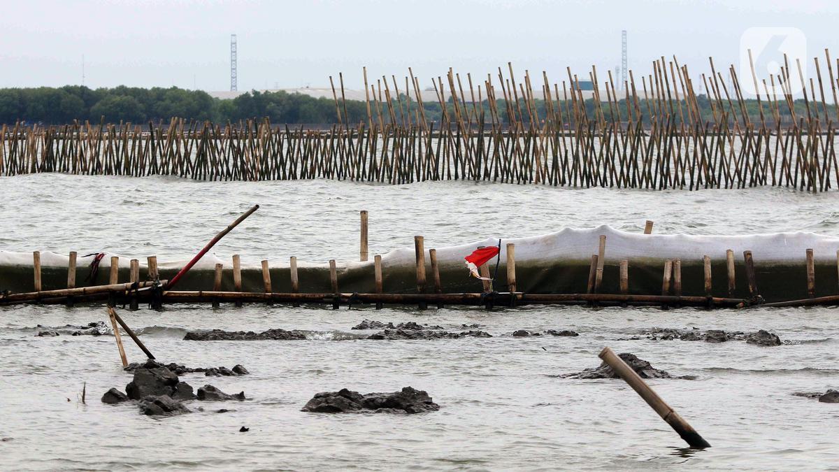 Pasang Pagar Laut Bekasi, PT TRPN Akui Langgar Aturan