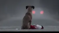 Video berjudul "Gift" ini ceritakan tentang anjing yang akan buat Anda terharu