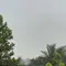 Kabut Asap Kebakaran Hutan Masih Hantui Desa Limbung Kalbar