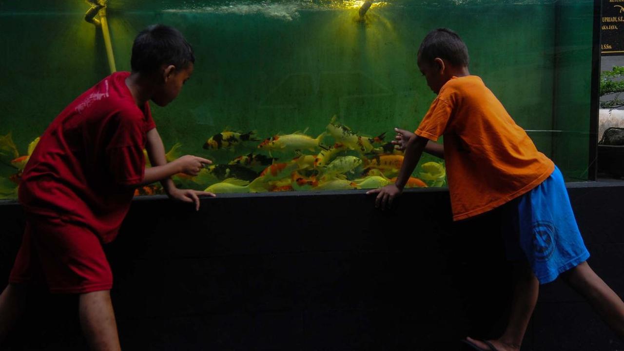 Selain kolam gizi, warga juga mengembangkan tanaman akuaponik, tanaman produktif, tanaman anggur, tanaman hias dan tanaman gantung.