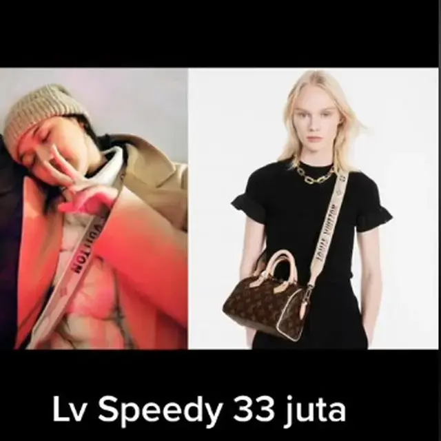 6 Taksiran Harga Tas Mewah Erina Gudono, Koleksi Berbagai Ukuran