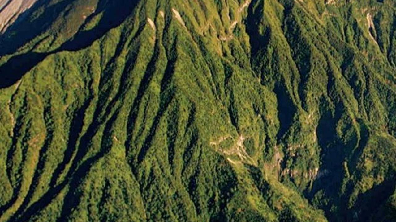 55 Quote Gunung yang Keren, Bijak, dan Memotivasi, Bikin Kita Cinta Alam