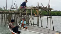 Teror Buaya Hantui Nelayan Batam, Ekspor Ikan Hoki Imlek ke Singapura dan Malaysia Jadi Melempem