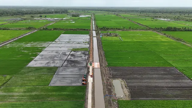 Lahan Pertanian