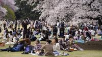 Orang-orang berkumpul di bawah bunga sakura yang mekar penuh di sebuah taman melihat bunga tradisional yang disebut "Hanami" untuk merayakan musim semi Rabu, 30 Maret 2022, di Tokyo. (AP Photo/Kiichiro Sato)