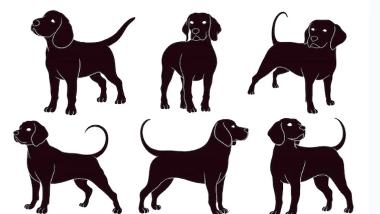 Ilustrasi Anjing (Liputan6.com/Freepik)