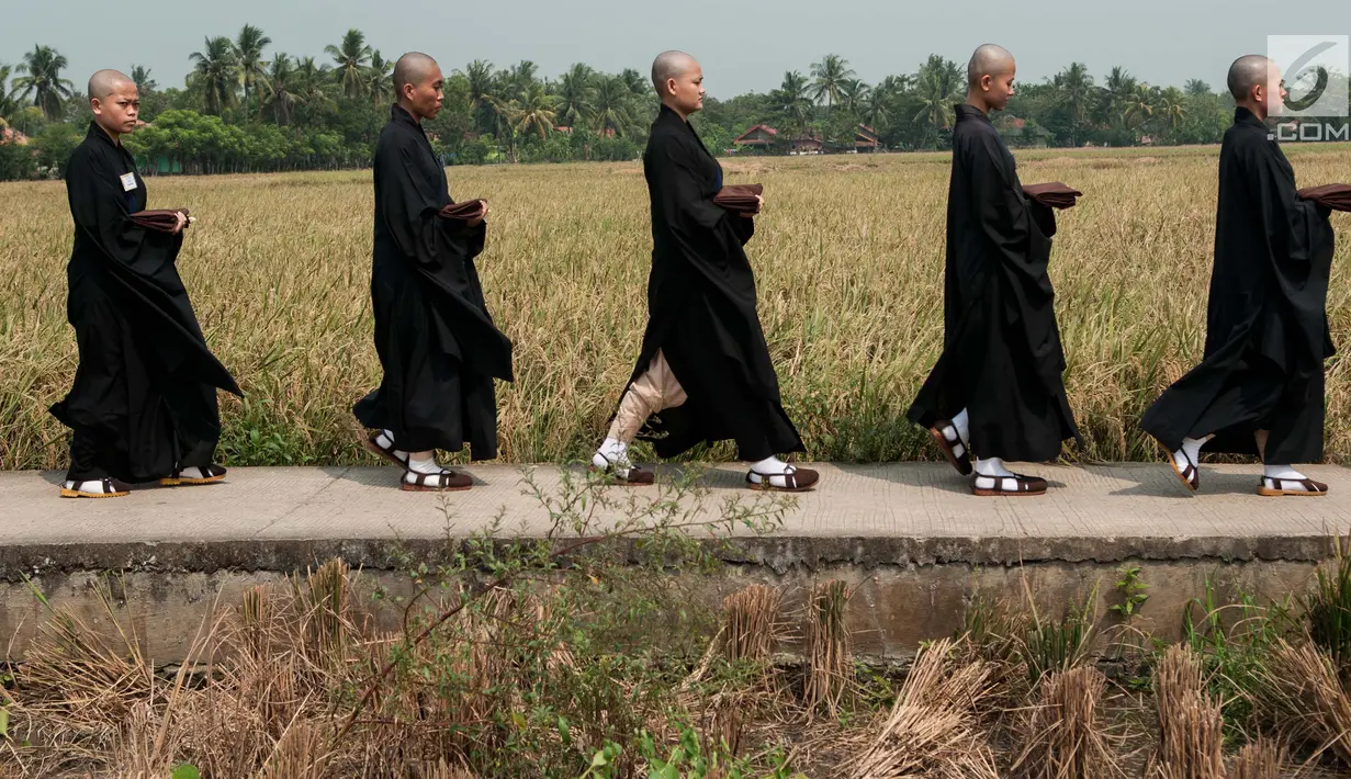 Para Bikkhu berjalan melewati area persawahan menuju Candi Blandongan saat melaksanakan prosesi Puja Waisak 2561 BE di komplek Candi Jiwa, Batujaya, Karawang, Jawa Barat (21/5). (Liputan6.com/Gempur M Surya)