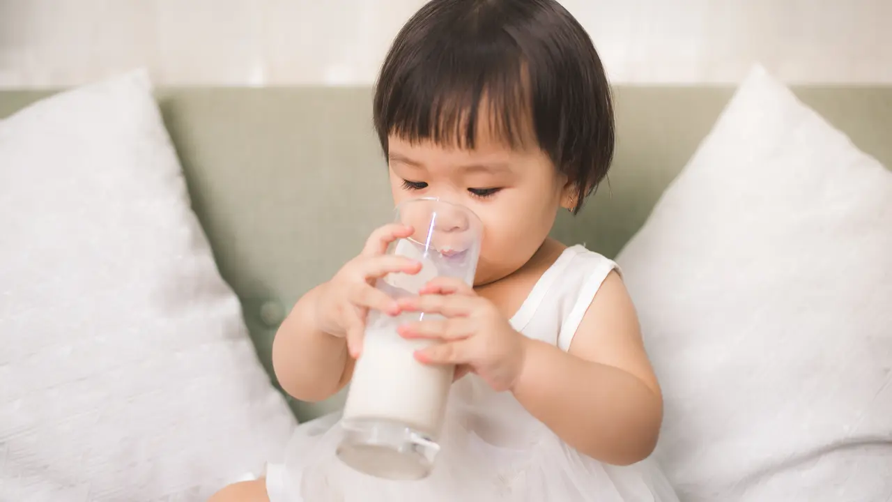 anak minum susu